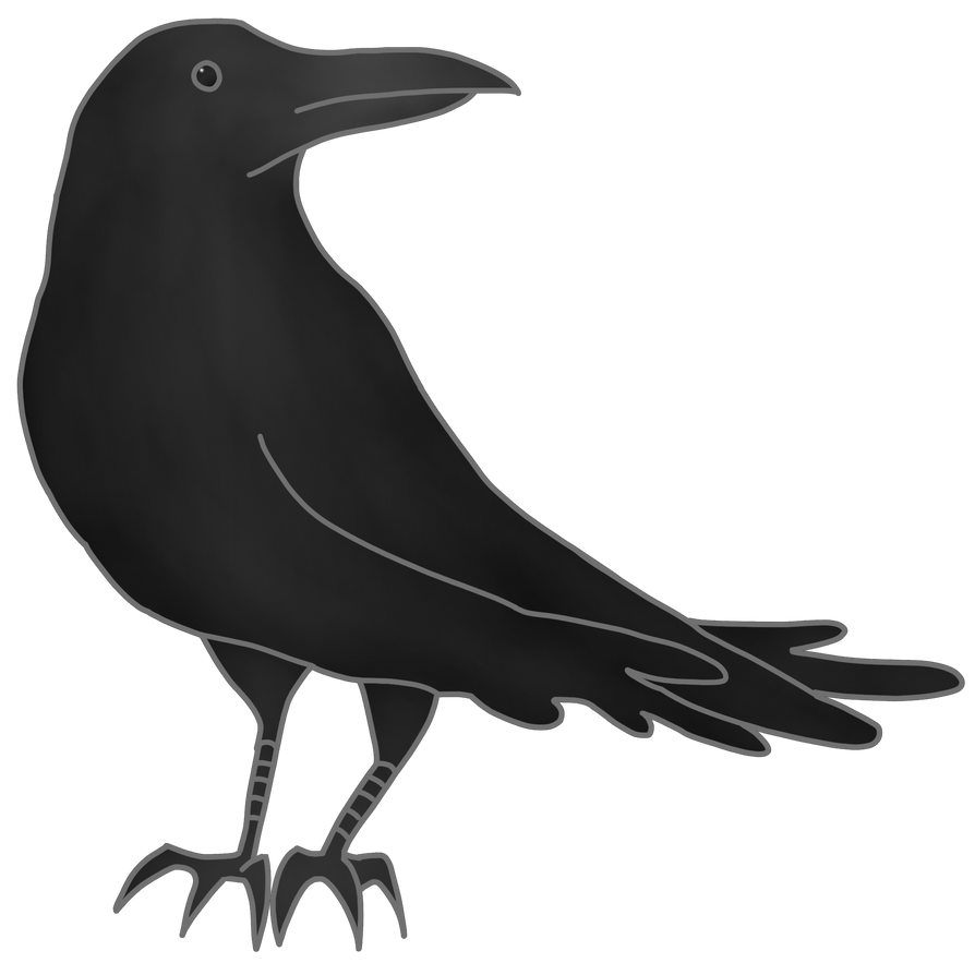 Raven Practice by ItsTheVioletQueen on DeviantArt