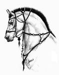 Horse-something by Aaorin