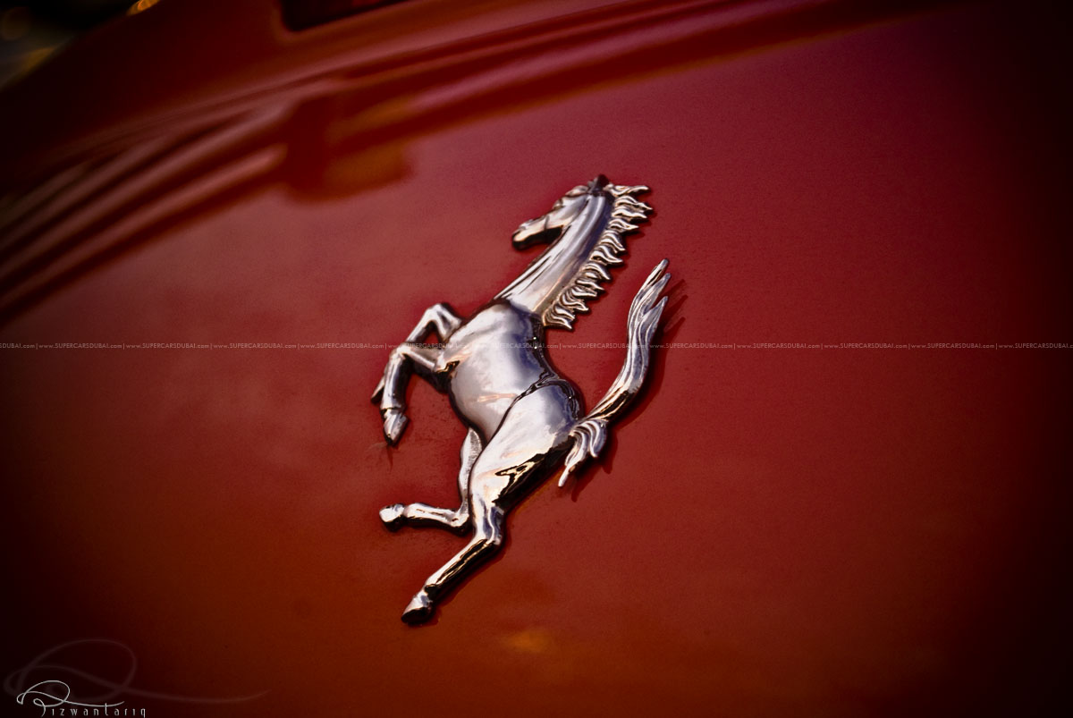 Prancing Horse - Ferrari 599