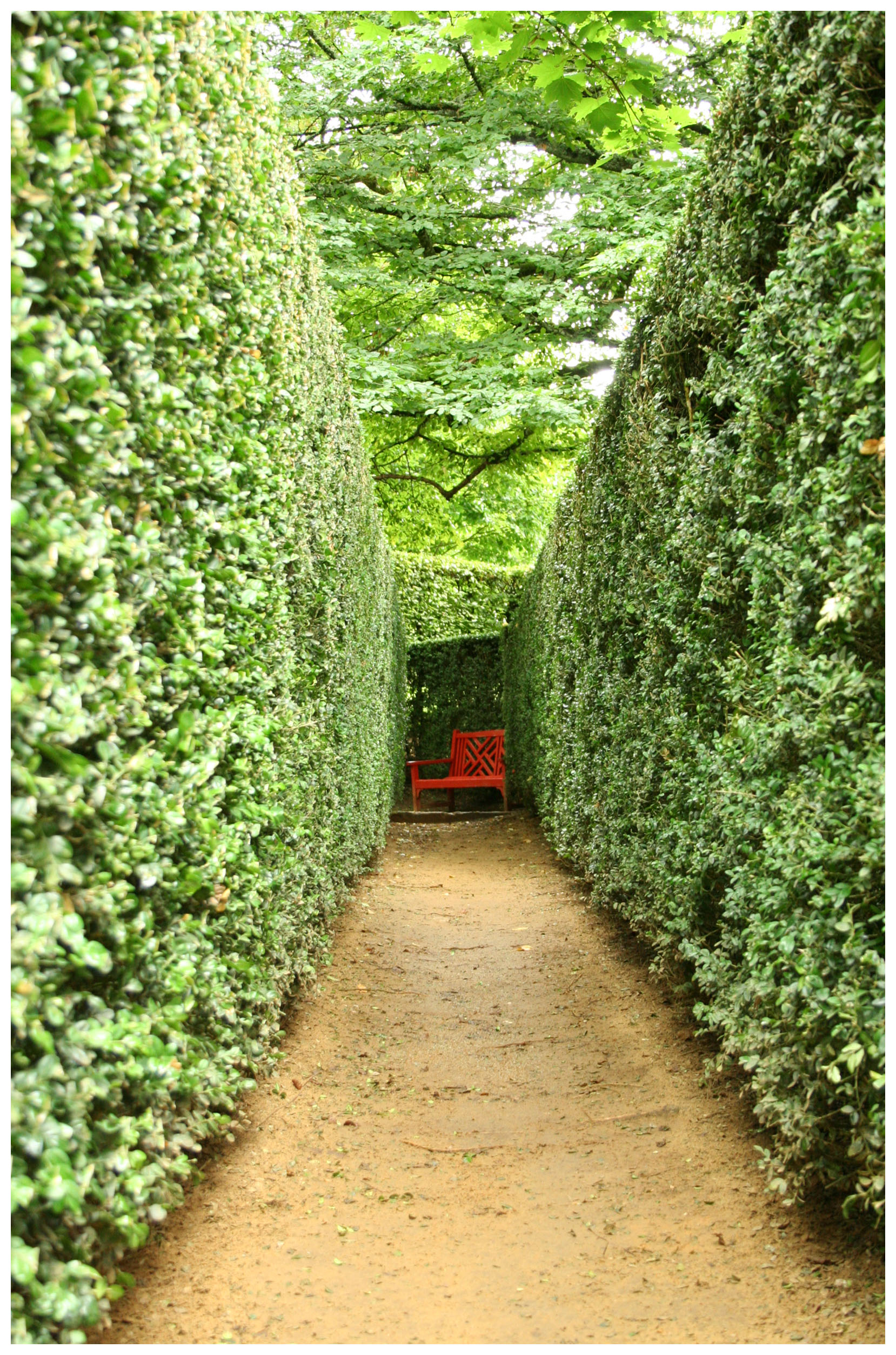 France: Red Bench