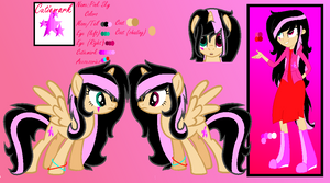 Pink Sky Reference Sheet