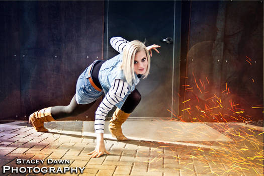Android 18 Burning