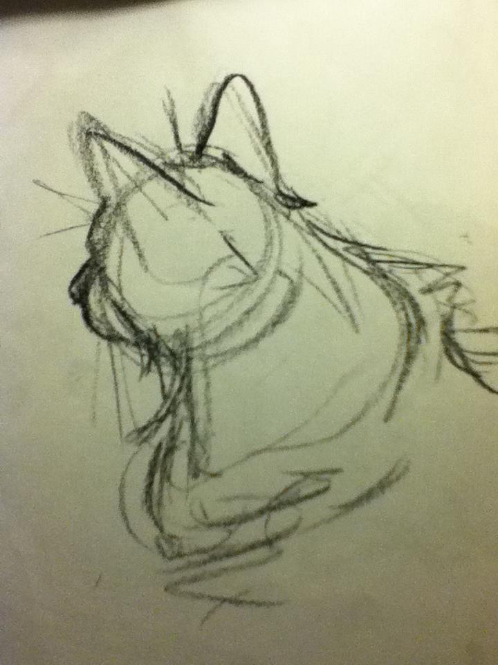 Quick-Cat Life Drawing