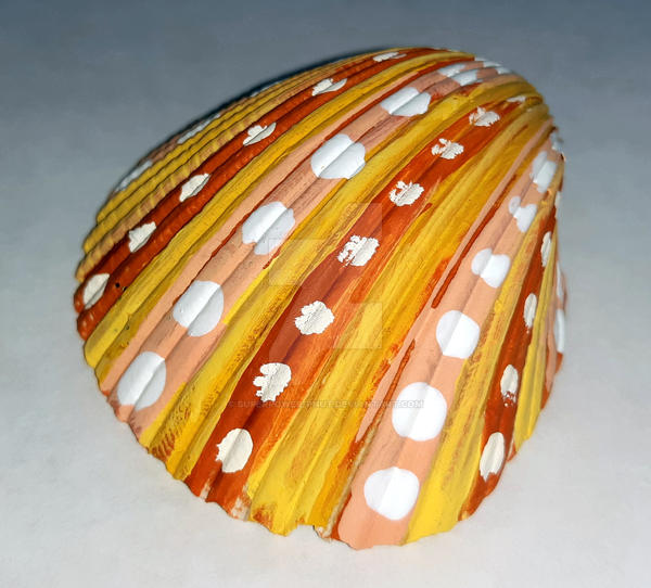 Spotted Shell by superpower-pnut on DeviantArt