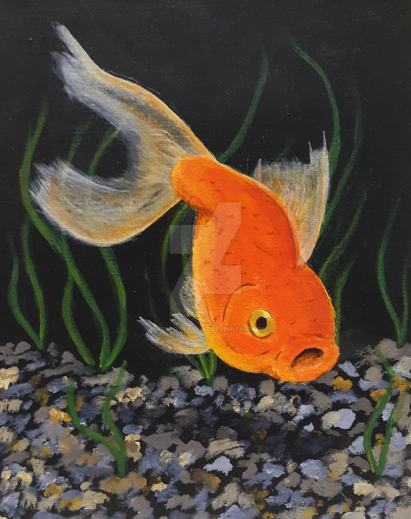 Deviantart 2007 Goldfish Goldfish by superpower-pnut on DeviantArt