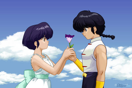 Ranma and Akane - Love Panic!