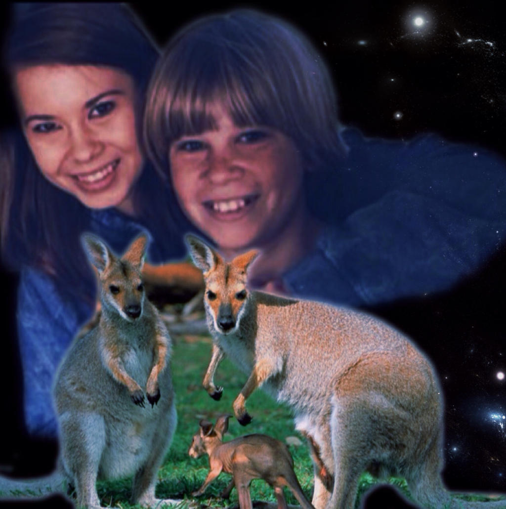 MY AUSSIE MATES by Aussiemate2 on DeviantArt