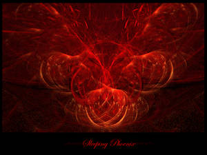 Sleeping Phoenix