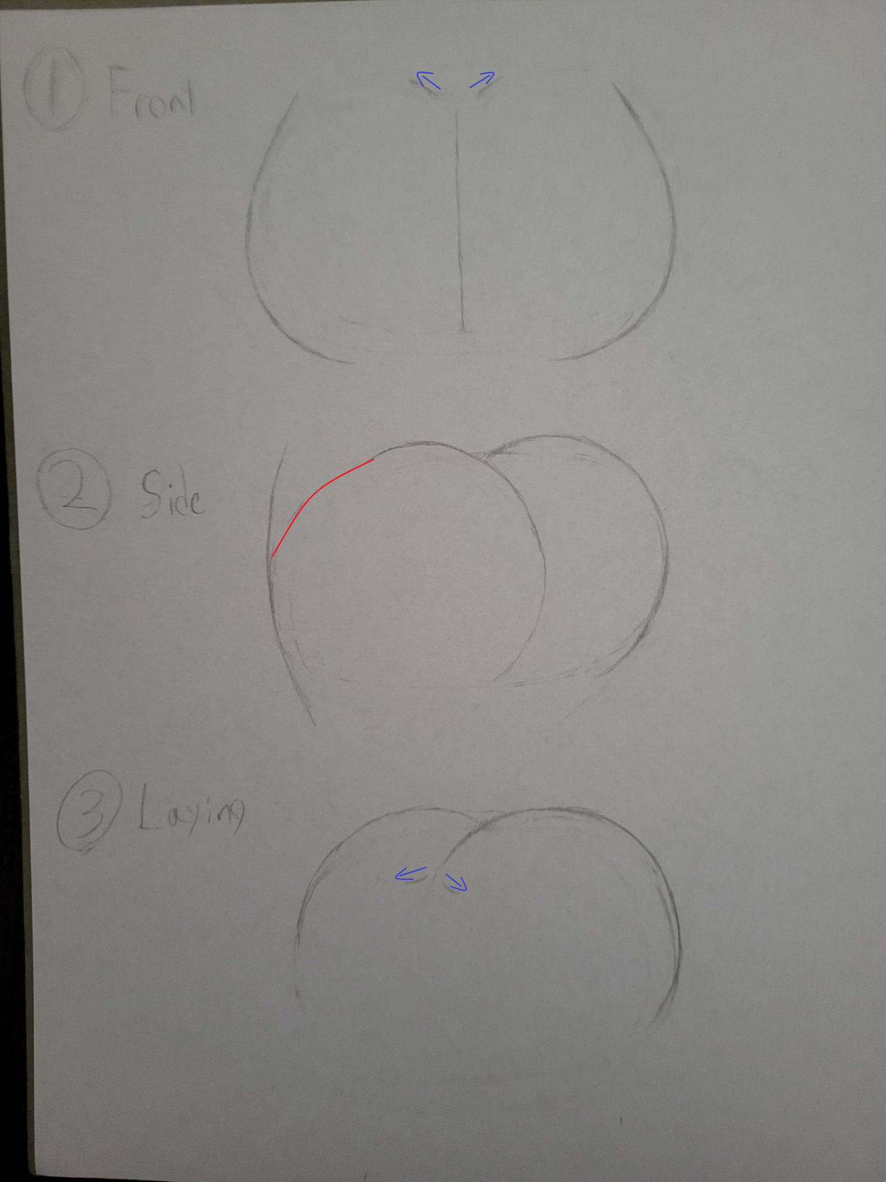Butt Drawing Tutorial by Jacob-S21 on DeviantArt