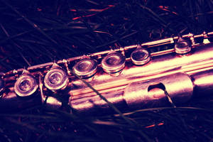 Flute