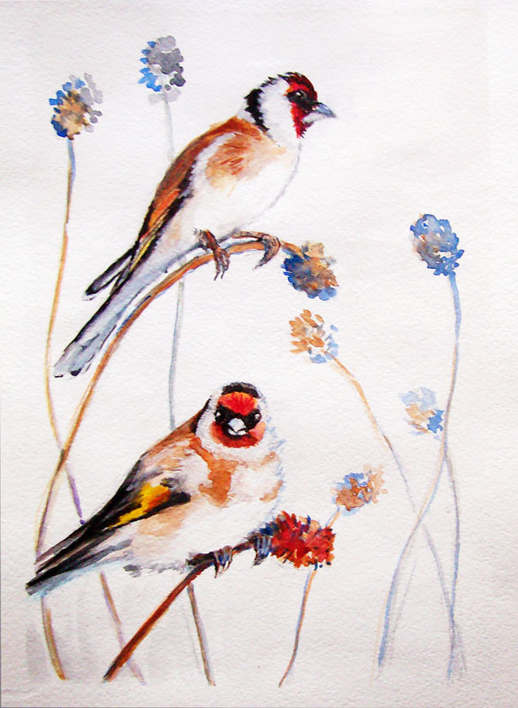 two the goldfinch