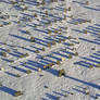 Surry, New Hampshire - Long Shadows