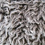 Curly Fur 1