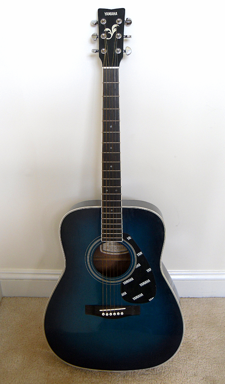 Blue Guitar 1