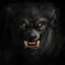 Werewolf stock
