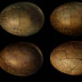Dinosaur Dragon Egg stock