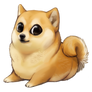 Doge