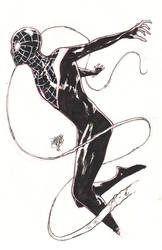 Spider-Man Sketch