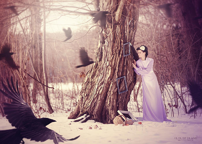 winter stories CROWS by LilifIlane