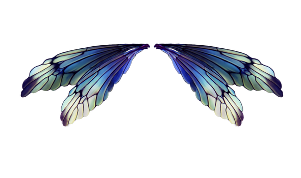 Fairies Wings