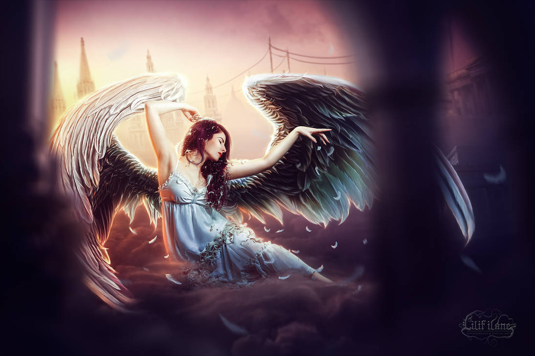 Angel by LilifIlane