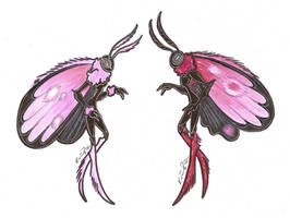Moth Adopt Pink-Redish  CLOSED