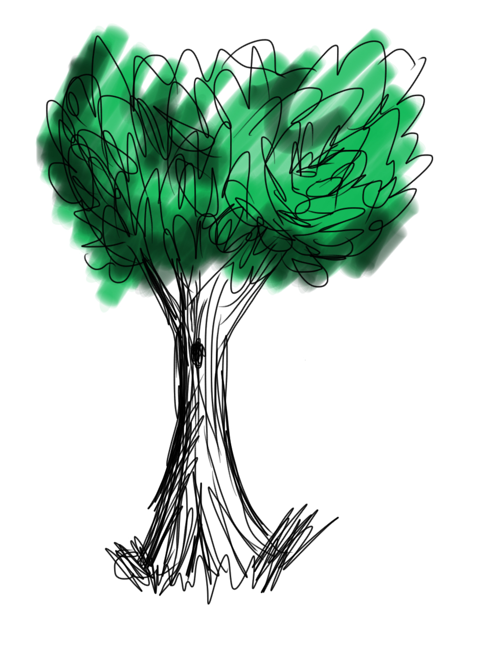 SKETCH A TREE