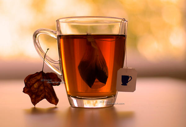 Autumn Tea