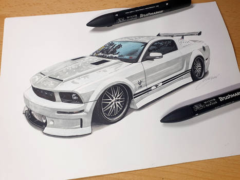 Stang Vibes on paper