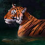 Tiger speedpaint study