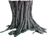 Tree trunk PNG