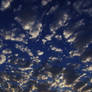 Puzzle In The Sky