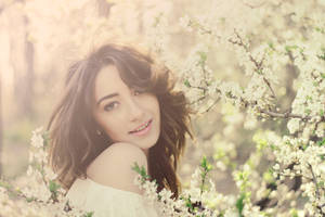 spring by AMMozart spring by AMMozart