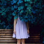 Hide and seek