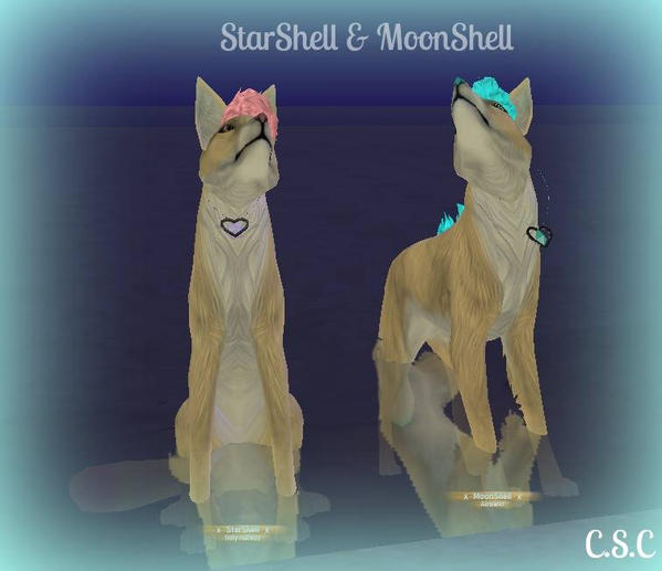 StarShell - MoonShell