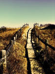 Beach Walkway by Twisted182