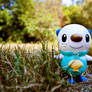 A Wild Oshawott Has Appeared