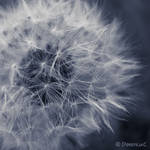 Mystique by DorotejaC