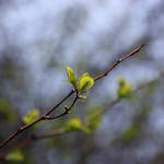 Escape by DorotejaC