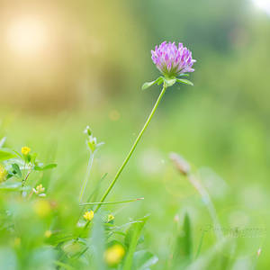 Up in the Air by DorotejaC