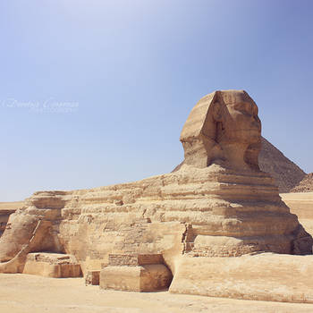 The Sphinx