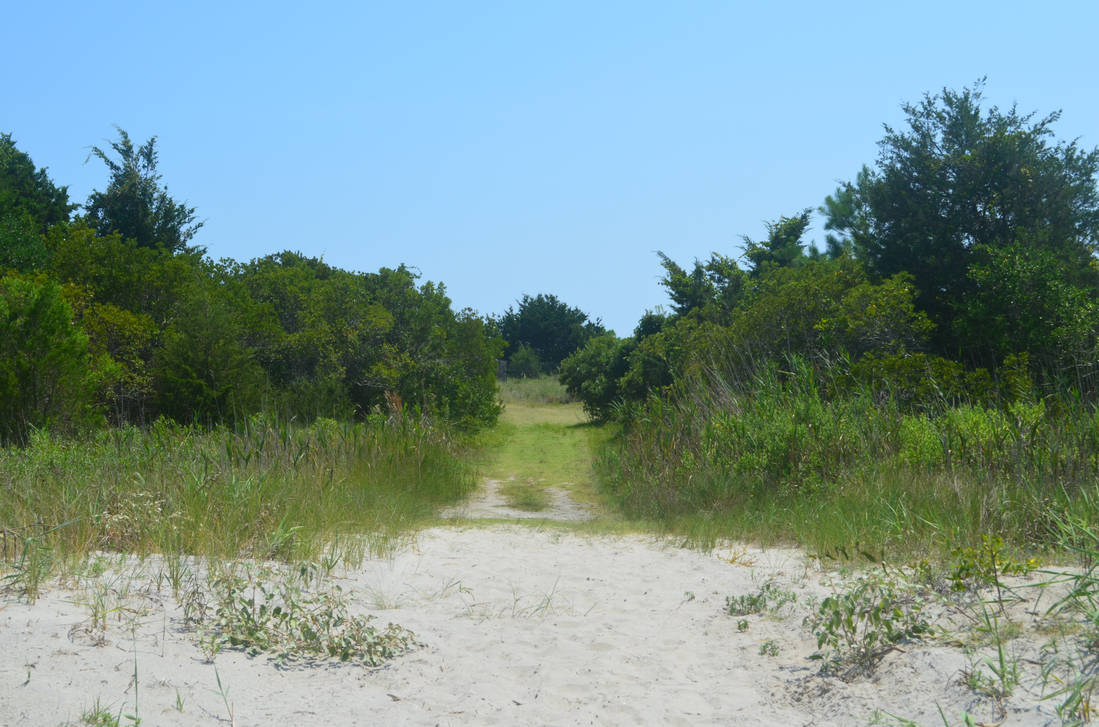 Sandy path by GlamorousInsanity on DeviantArt