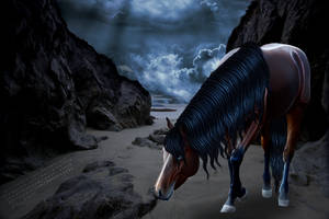 Stormy Walk on the Beach