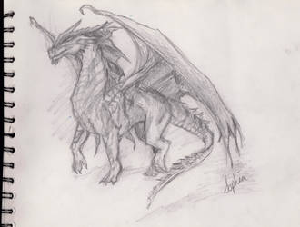 Dragon sketch