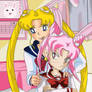 Year of the Usagi