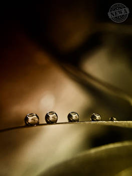 5Droplet