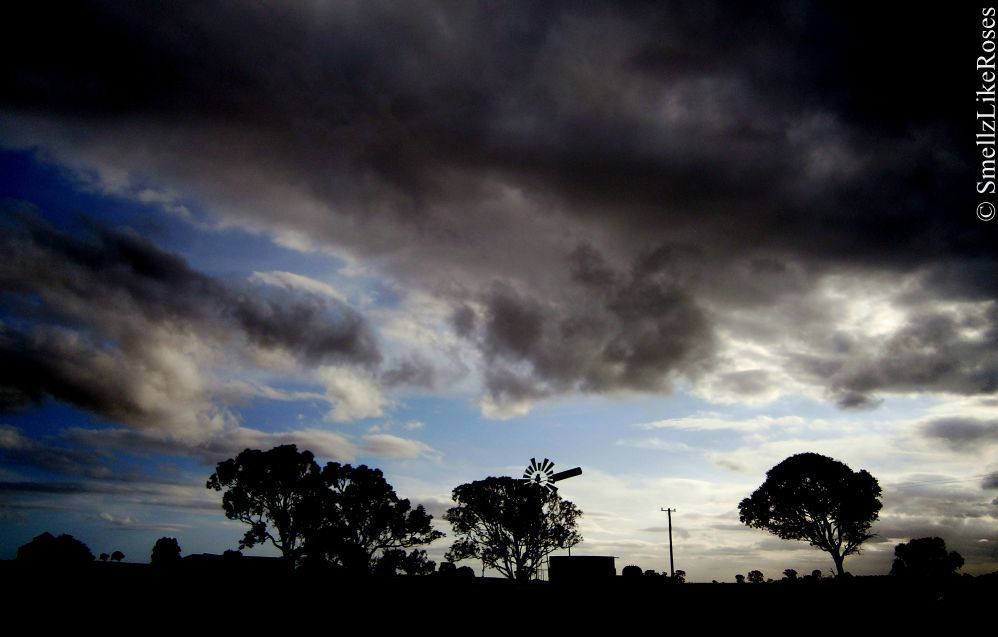 Down Under on the Farm photo 1