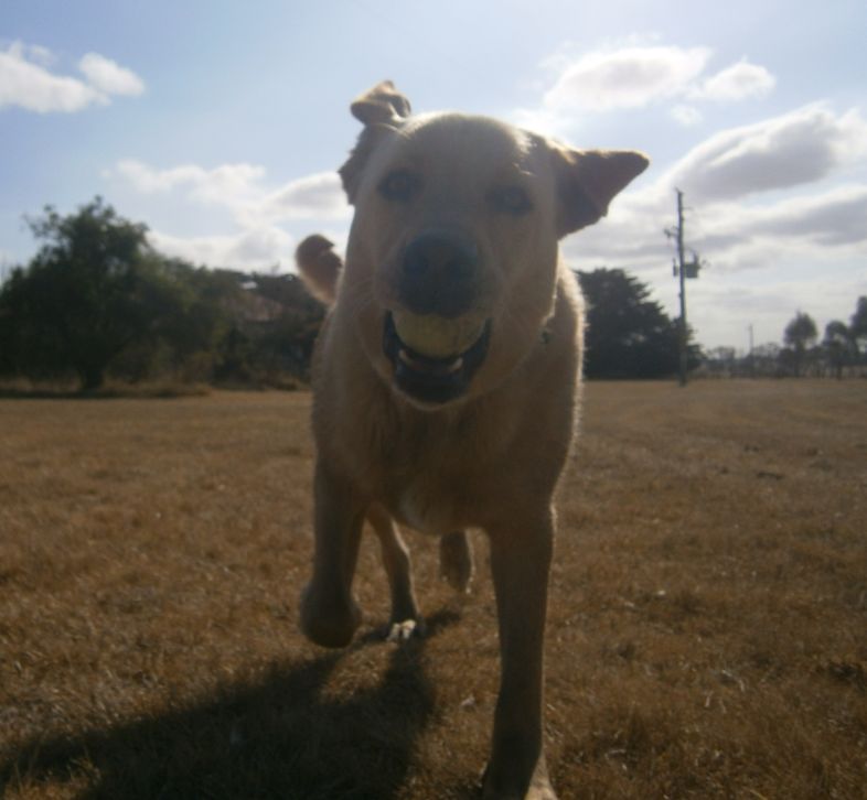 Down Under on the Farm photo 4