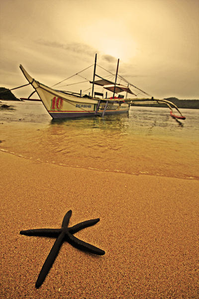 boat and starfish