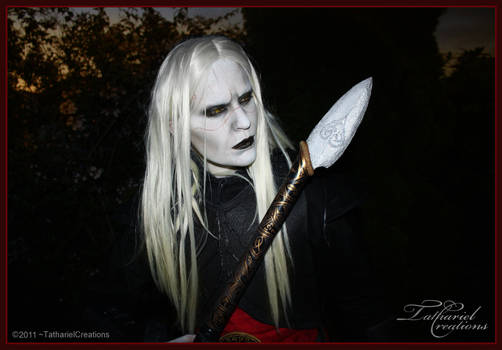 Prince Nuada Costume - I